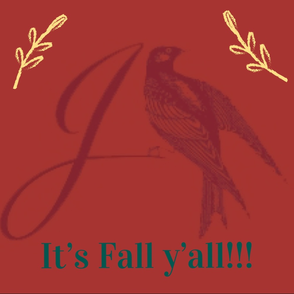 🍃🌻Fall clothes here!!!🌻 🍂
